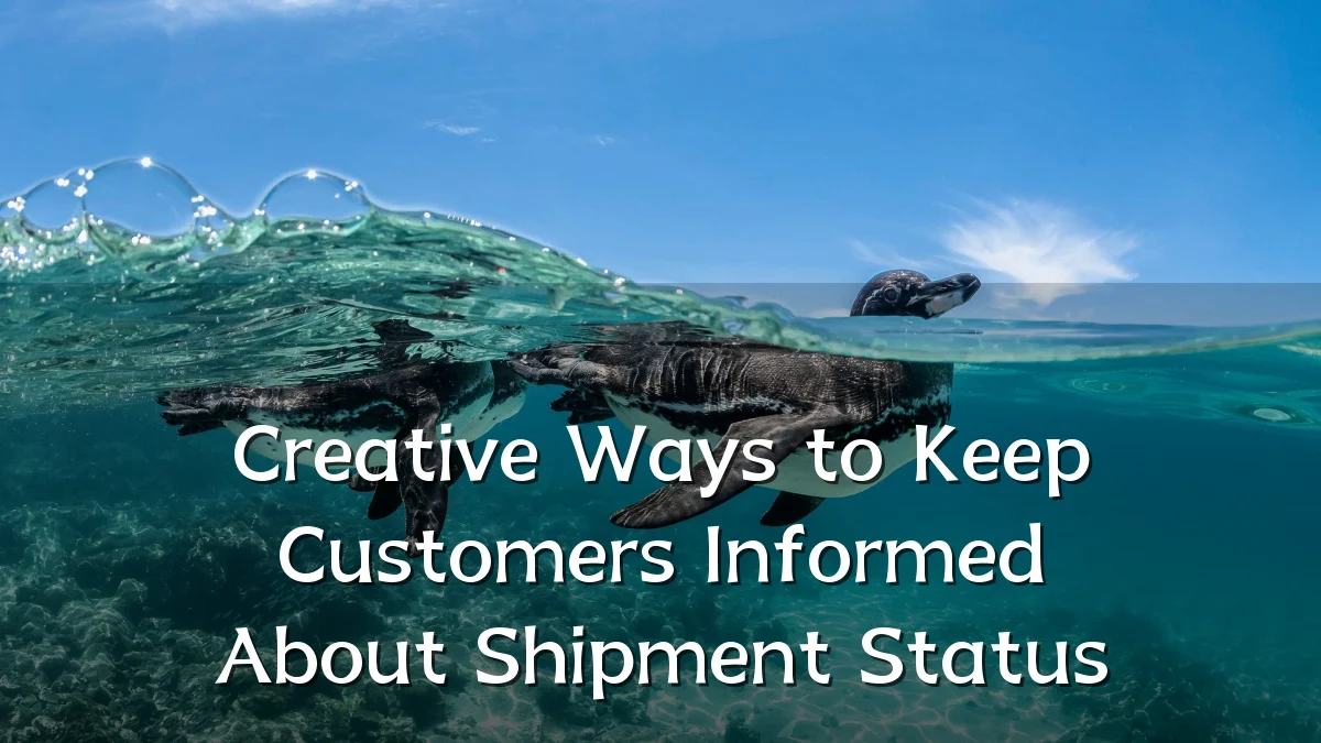 Creative Ways to Keep Customers Informed About Shipment Status