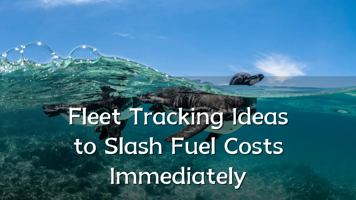 Fleet Tracking Ideas to Slash Fuel Costs Immediately