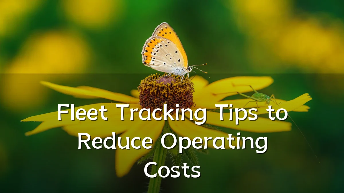 Fleet Tracking Tips to Reduce Operating Costs