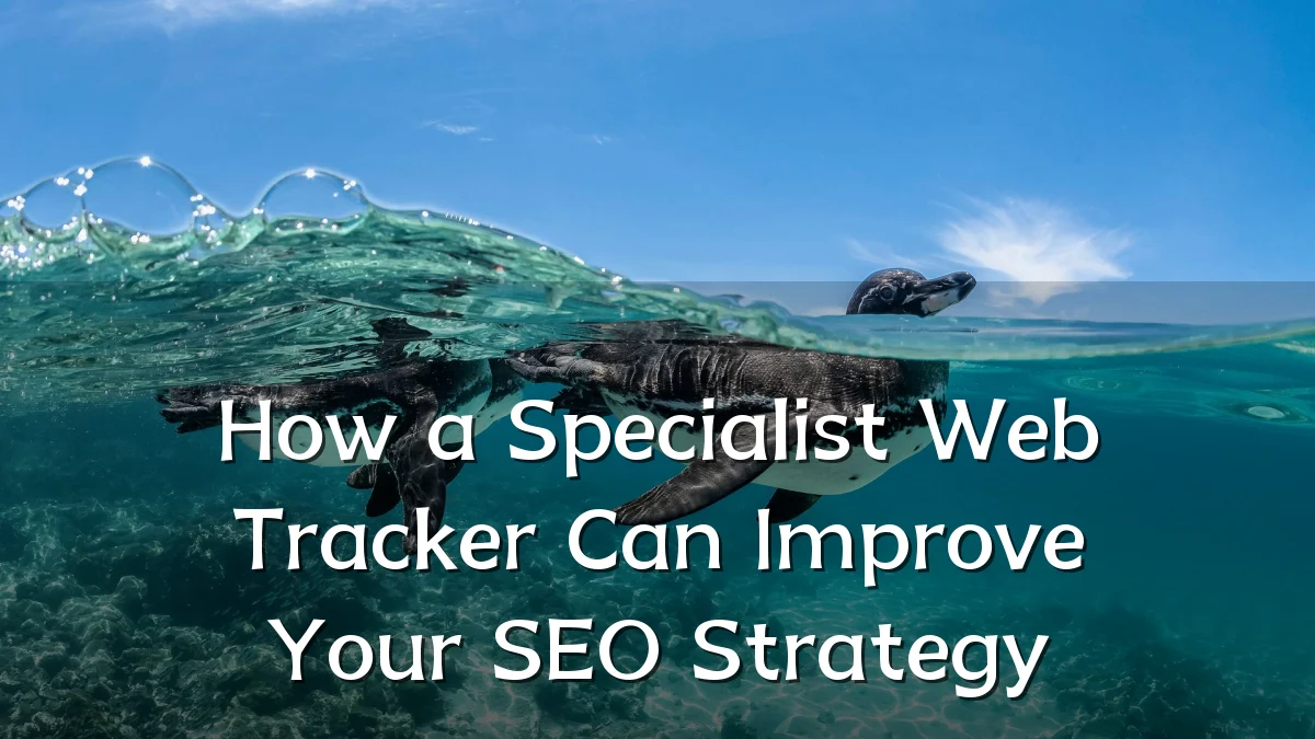 How a Specialist Web Tracker Can Improve Your SEO Strategy