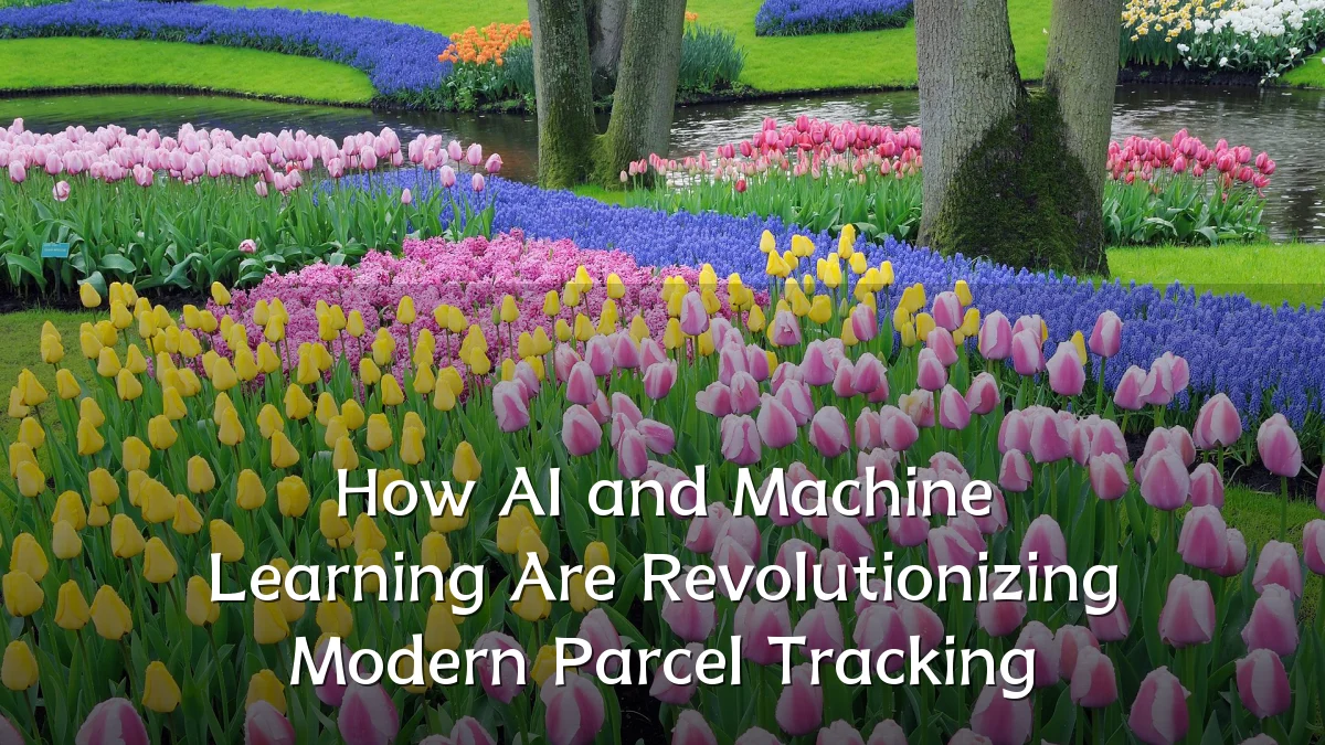 How AI and Machine Learning Are Revolutionizing Modern Parcel Tracking