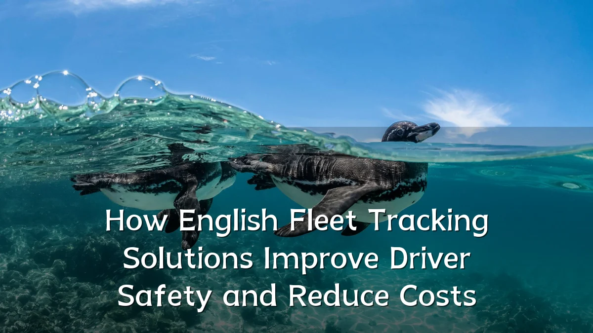 How English Fleet Tracking Solutions Improve Driver Safety and Reduce Costs