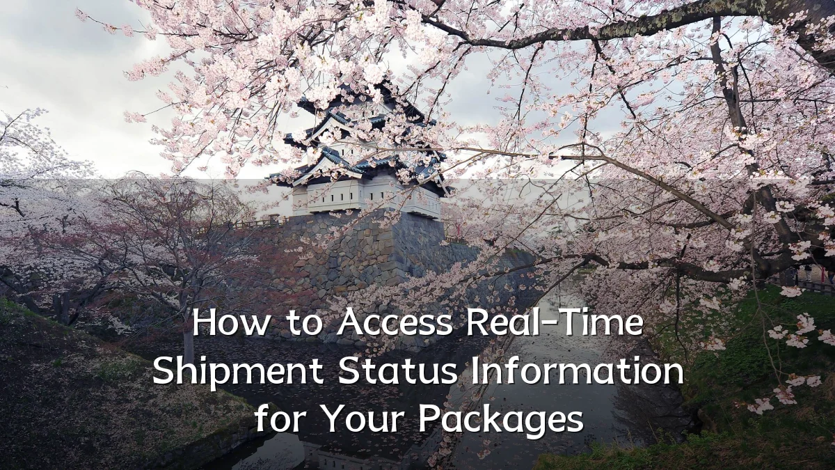 How to Access Real-Time Shipment Status Information for Your Packages