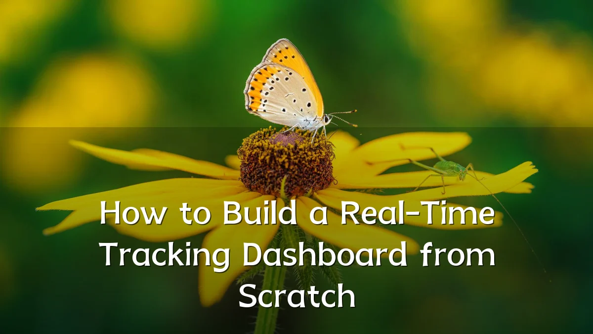 How to Build a Real-Time Tracking Dashboard from Scratch