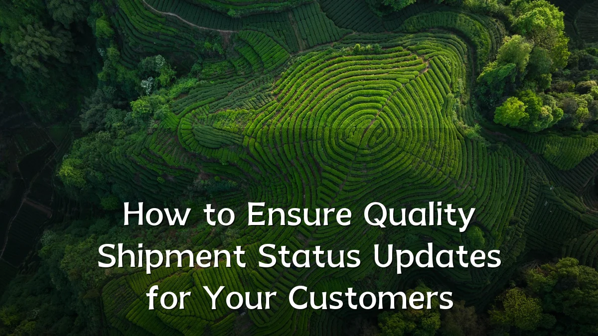 How to Ensure Quality Shipment Status Updates for Your Customers