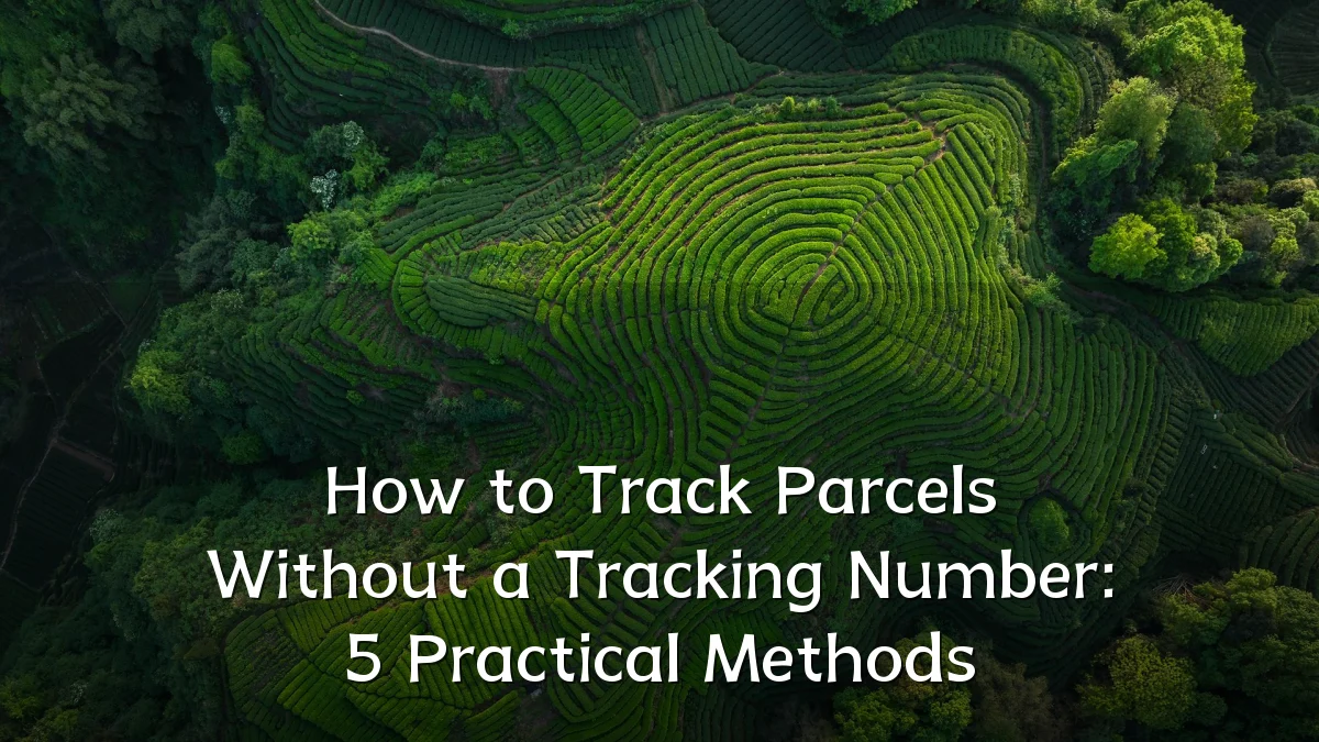How to Track Parcels Without a Tracking Number: 5 Practical Methods