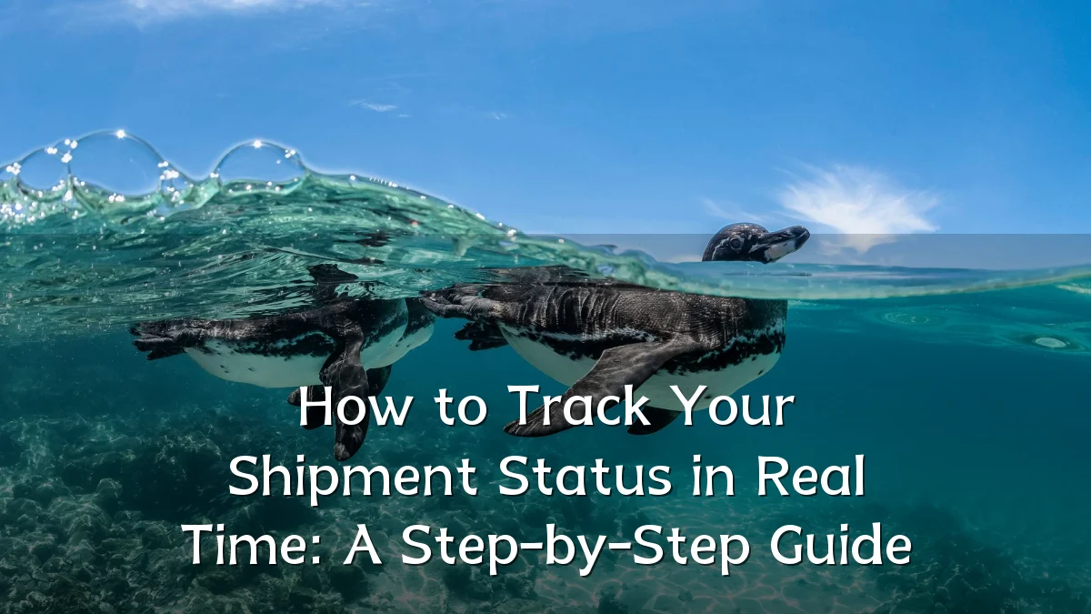 How to Track Your Shipment Status in Real Time: A Step-by-Step Guide