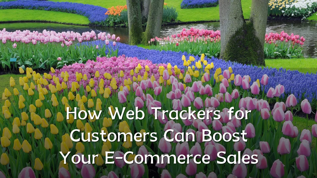 How Web Trackers for Customers Can Boost Your E-Commerce Sales