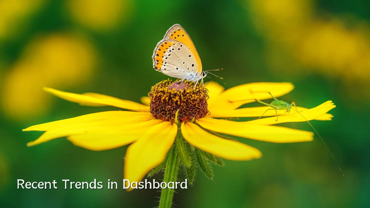 Recent Trends in Dashboard