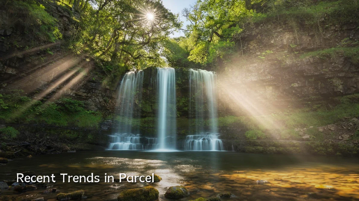 Recent Trends in Parcel