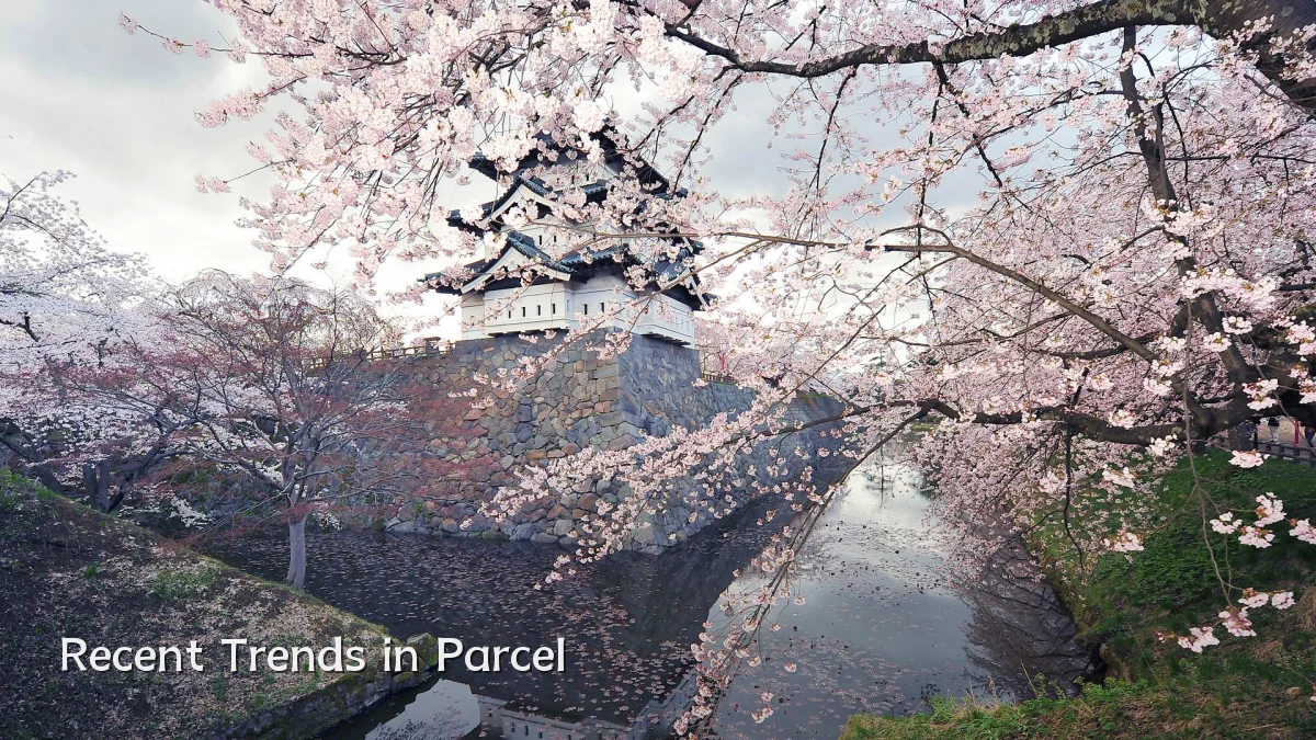 Recent Trends in Parcel