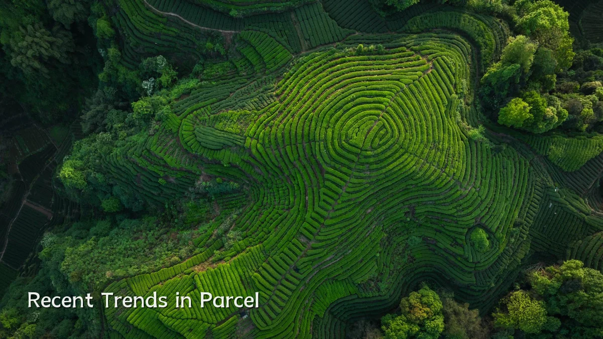 Recent Trends in Parcel