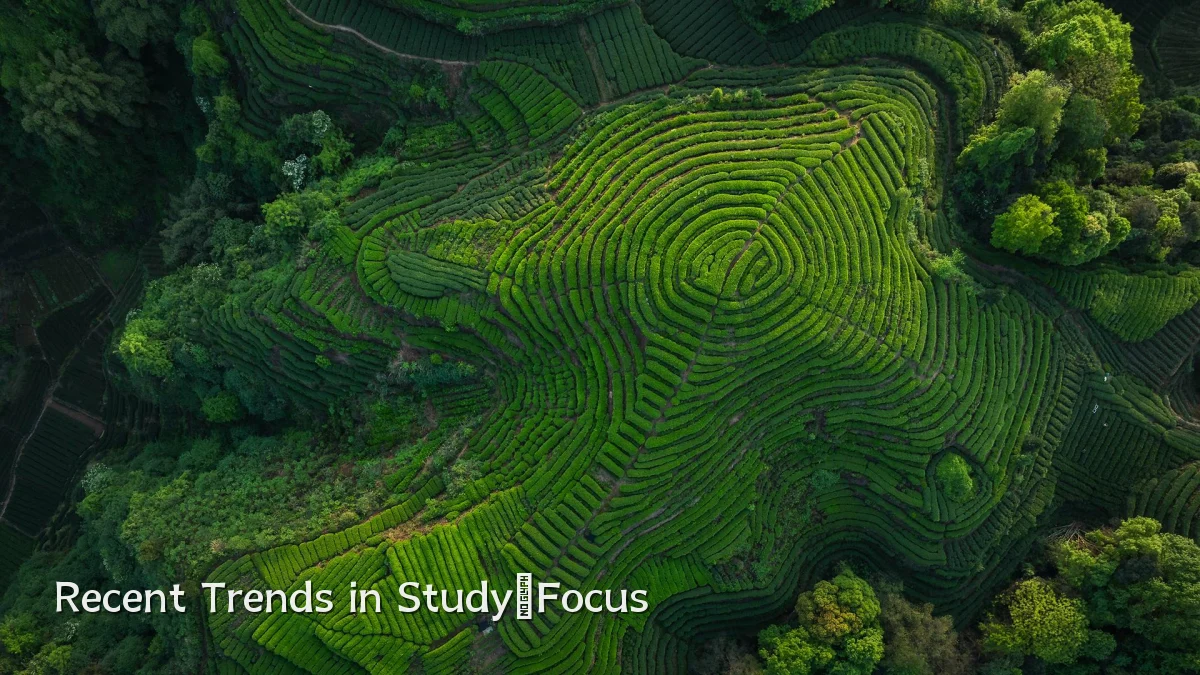 Recent Trends in Study‑Focus