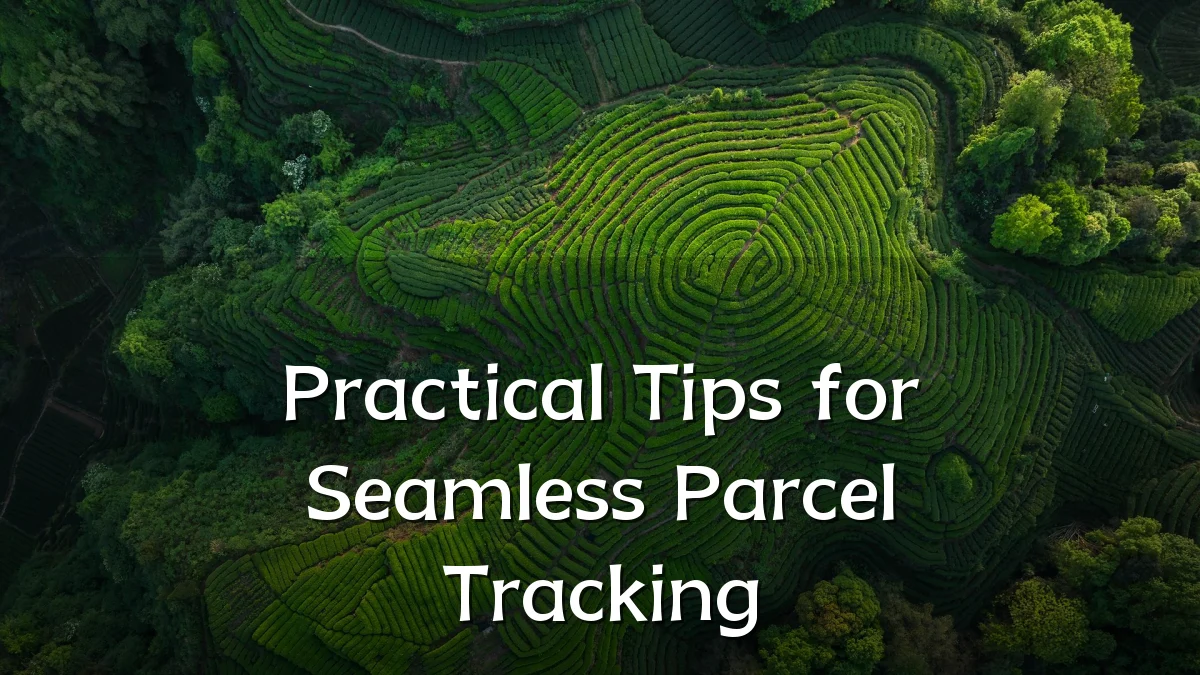 Practical Tips for Seamless Parcel Tracking