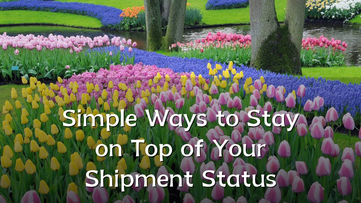 Simple Ways to Stay on Top of Your Shipment Status