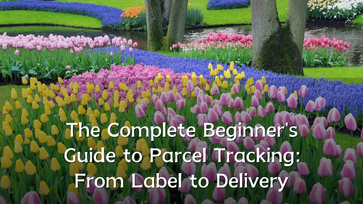 The Complete Beginner's Guide to Parcel Tracking: From Label to Delivery