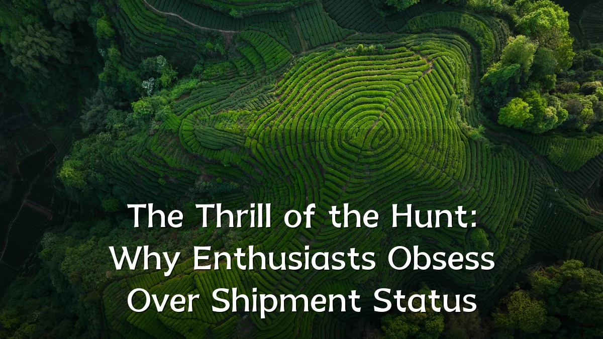 The Thrill of the Hunt: Why Enthusiasts Obsess Over Shipment Status