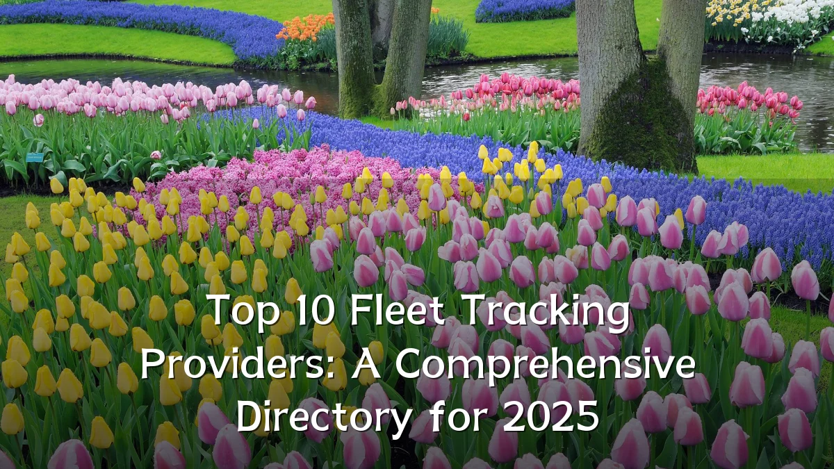 Top 10 Fleet Tracking Providers: A Comprehensive Directory for 2025