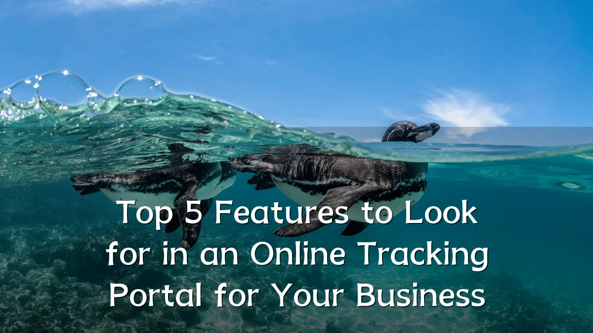 Top 5 Features to Look for in an Online Tracking Portal for Your Business