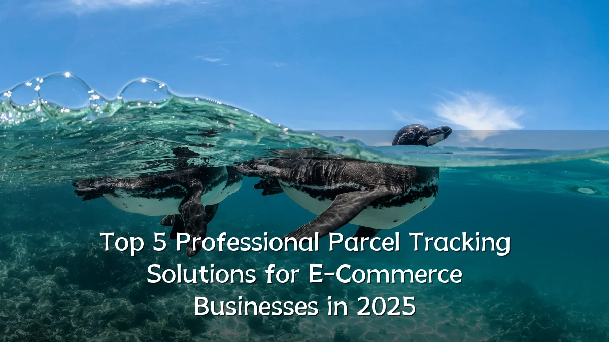 Top 5 Professional Parcel Tracking Solutions for E-Commerce Businesses in 2025