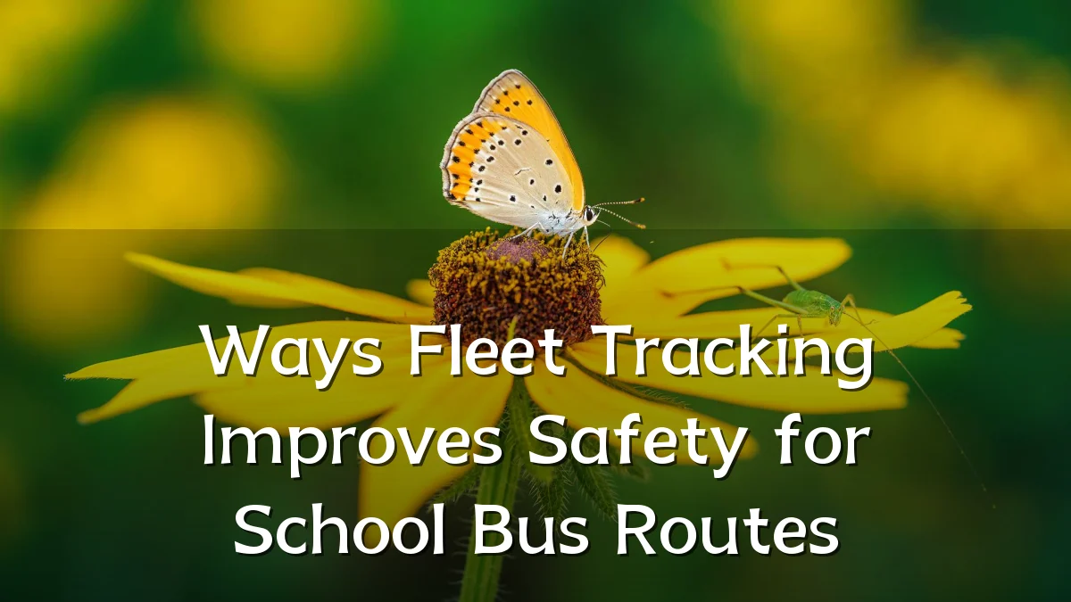 Ways Fleet Tracking Improves Safety for School Bus Routes
