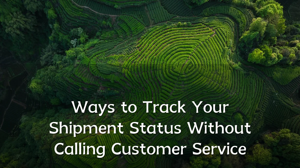 Ways to Track Your Shipment Status Without Calling Customer Service