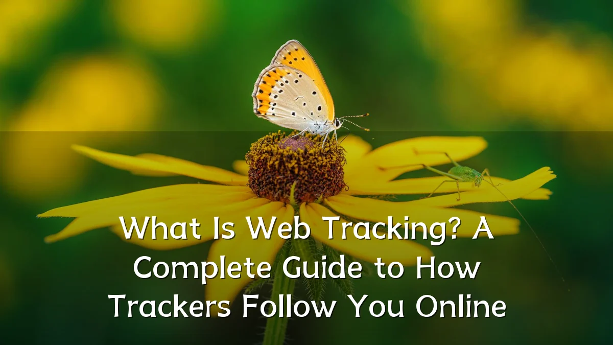 What Is Web Tracking? A Complete Guide to How Trackers Follow You Online