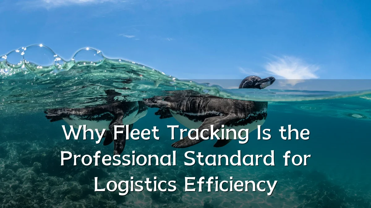 Why Fleet Tracking Is the Professional Standard for Logistics Efficiency