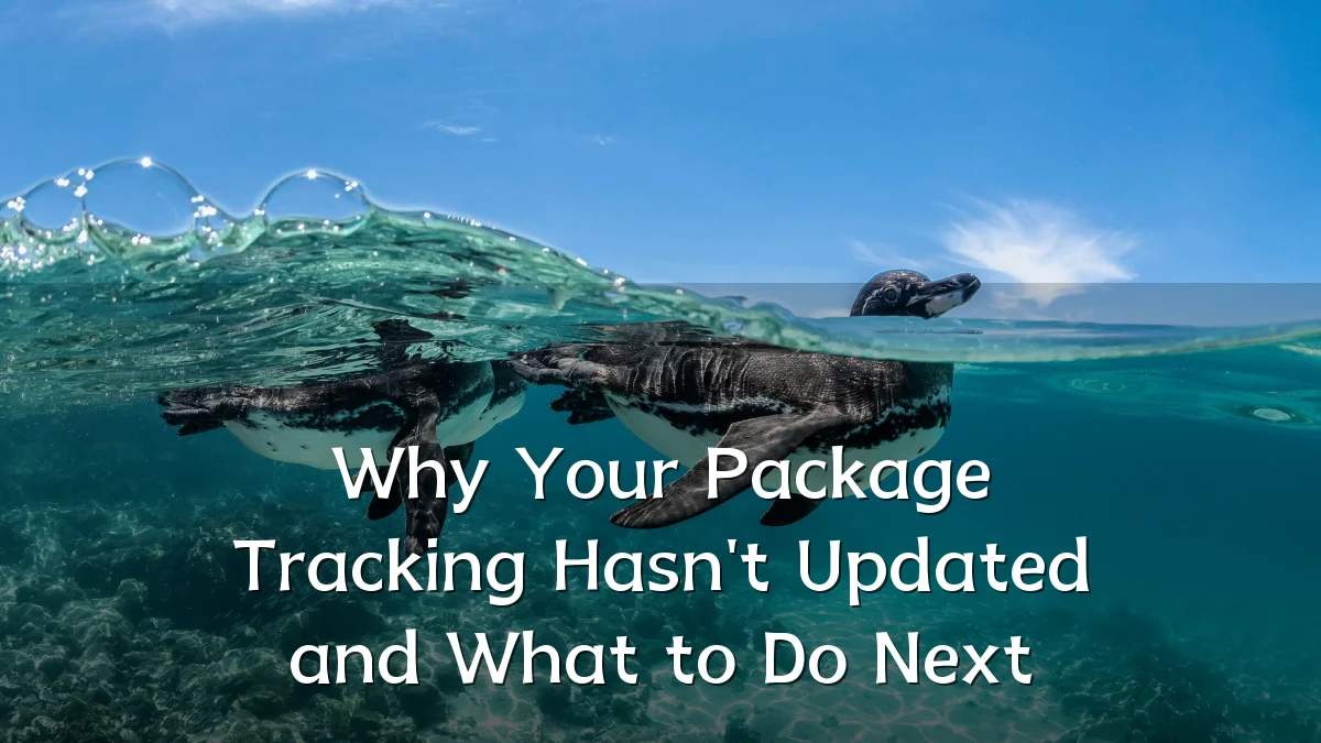 Why Your Package Tracking Hasn't Updated and What to Do Next