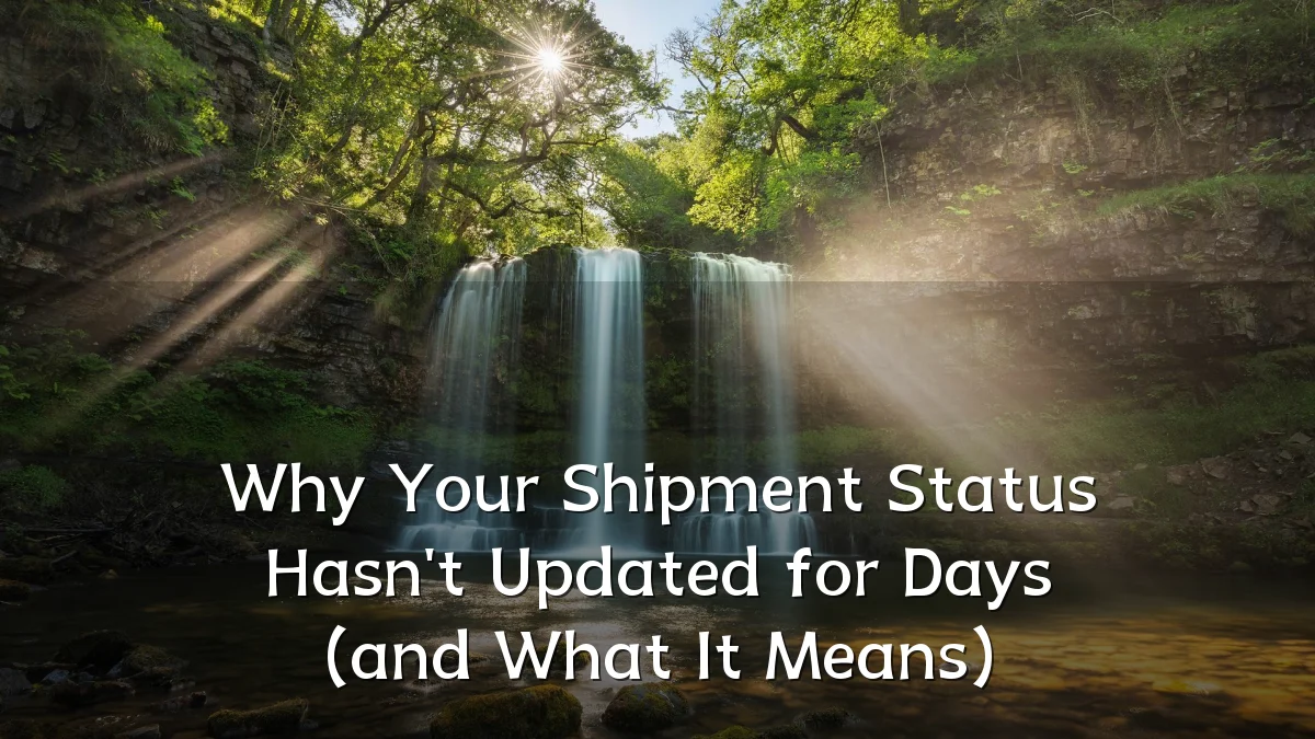 Why Your Shipment Status Hasn't Updated for Days (and What It Means)