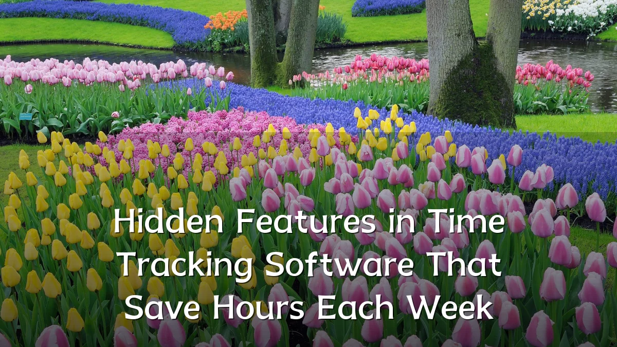 Hidden Features in Time Tracking Software That Save Hours Each Week