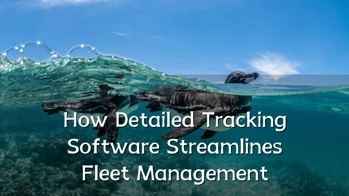 How Detailed Tracking Software Streamlines Fleet Management