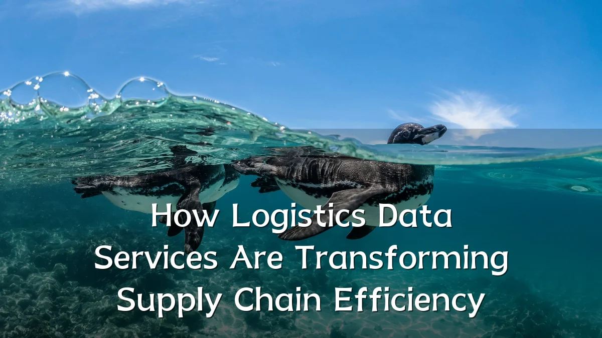 How Logistics Data Services Are Transforming Supply Chain Efficiency