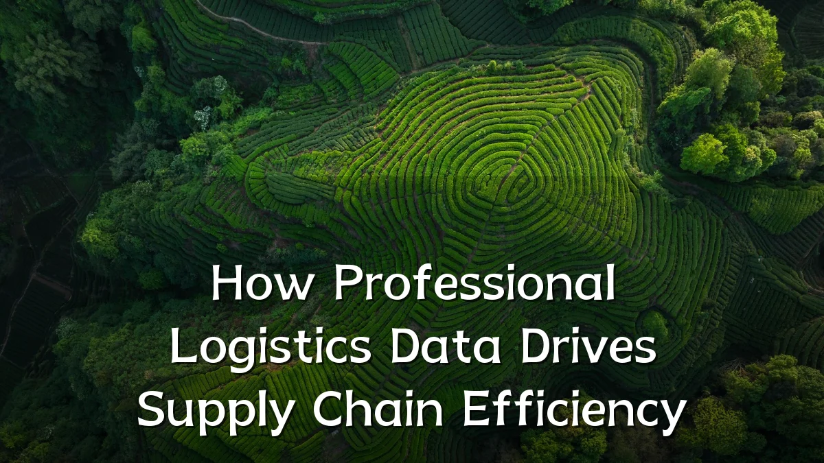 How Professional Logistics Data Drives Supply Chain Efficiency