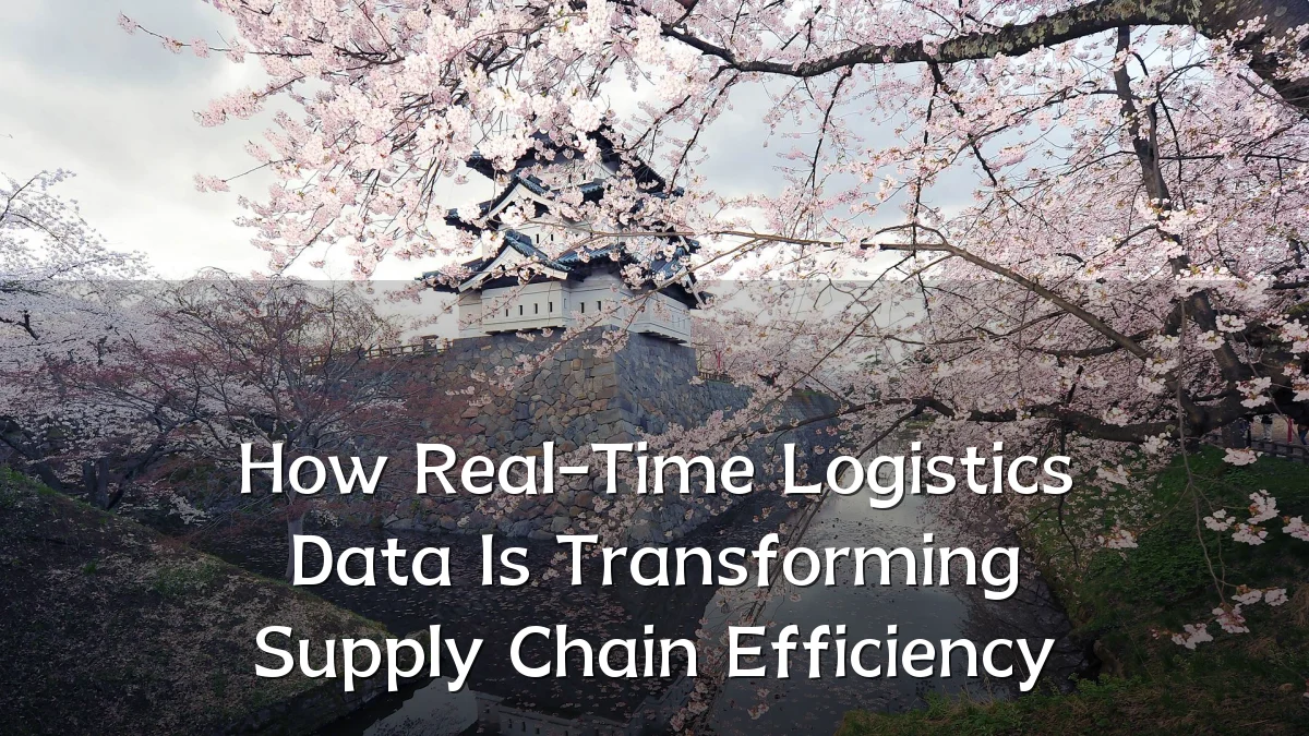 How Real-Time Logistics Data Is Transforming Supply Chain Efficiency