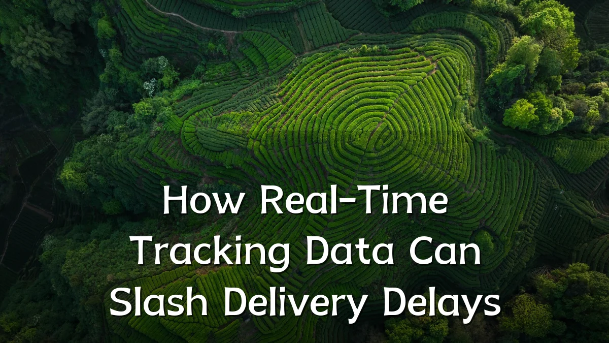 How Real-Time Tracking Data Can Slash Delivery Delays