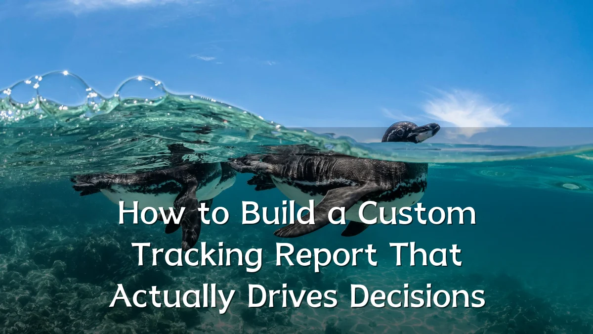 How to Build a Custom Tracking Report That Actually Drives Decisions