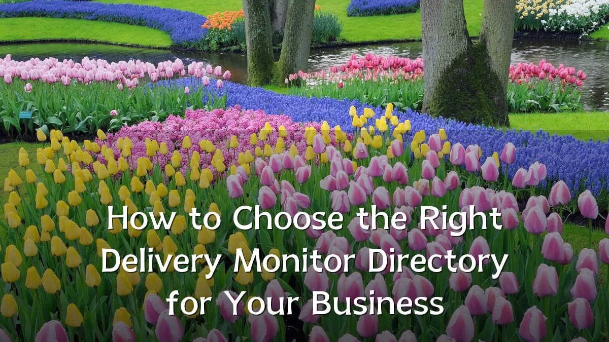 How to Choose the Right Delivery Monitor Directory for Your Business