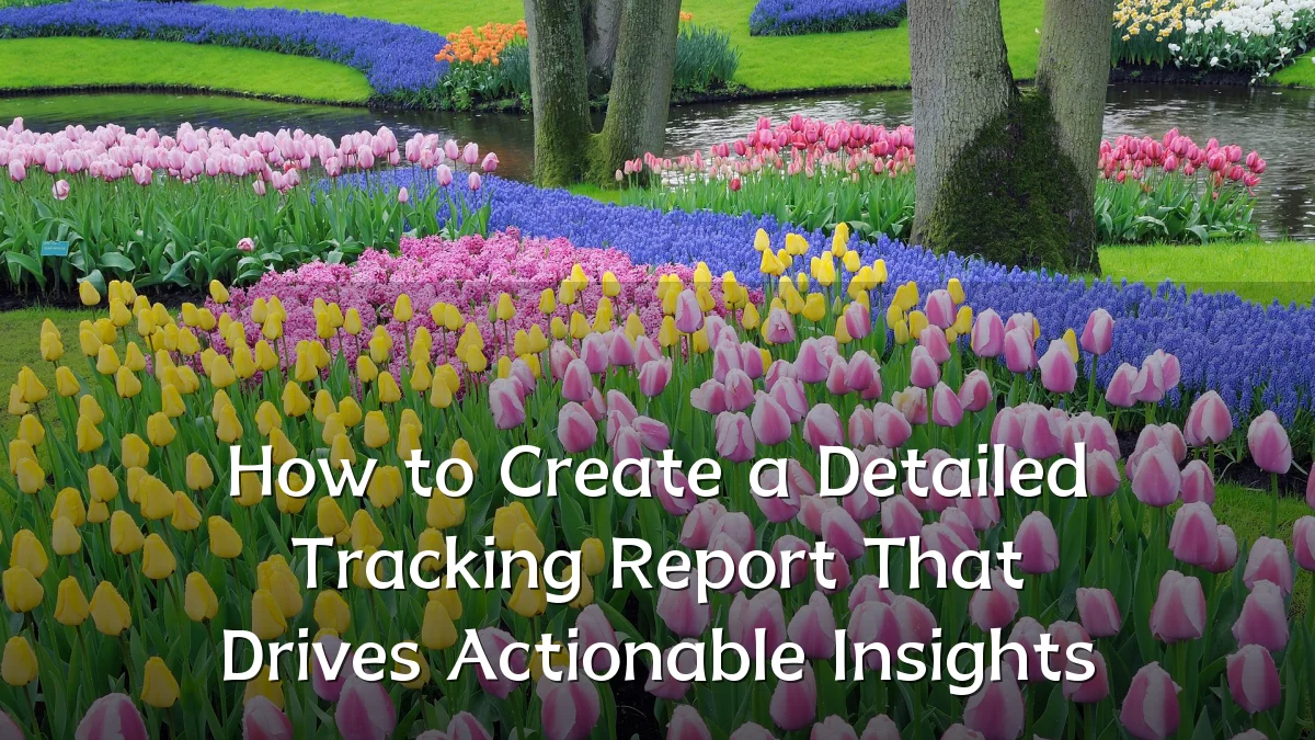 How to Create a Detailed Tracking Report That Drives Actionable Insights