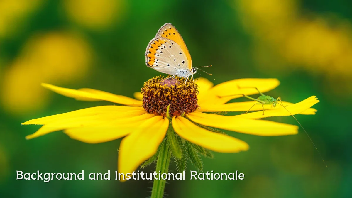 Background and Institutional Rationale