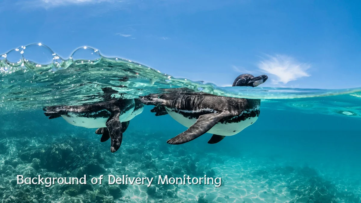 Background of Delivery Monitoring