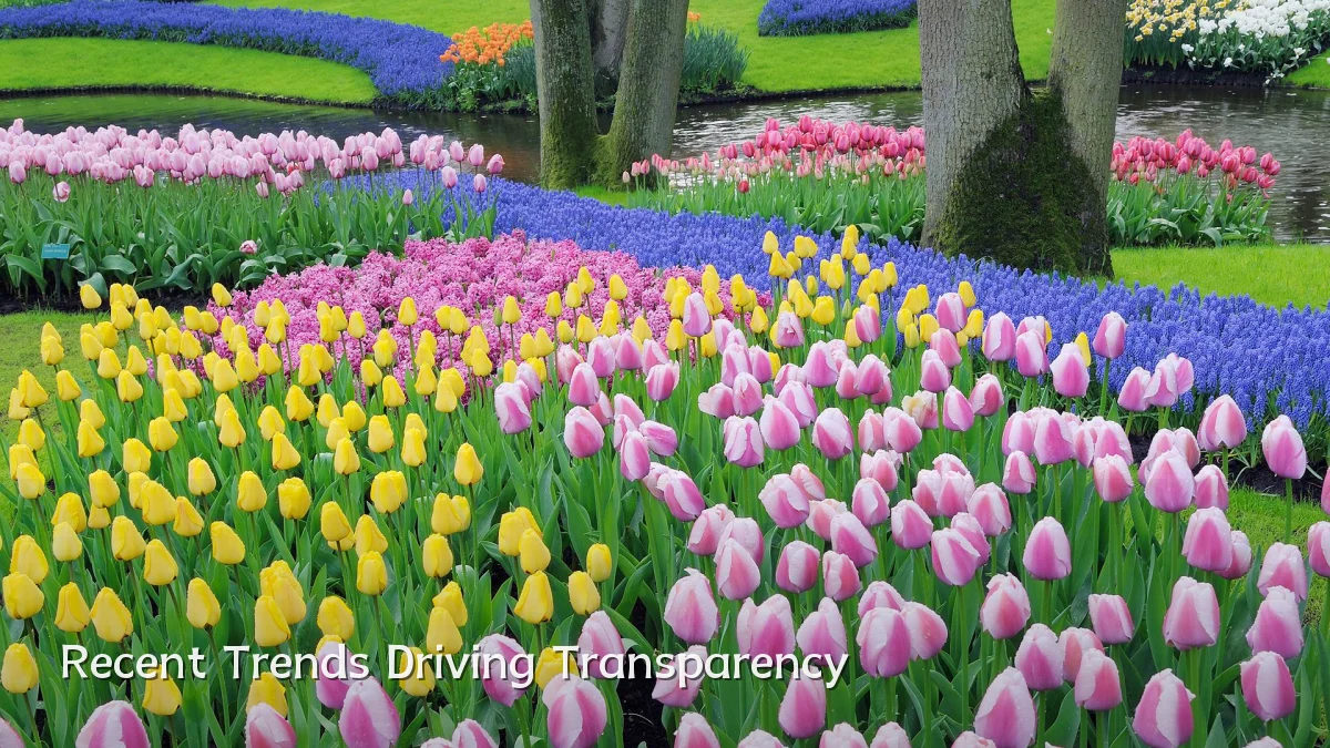 Recent Trends Driving Transparency