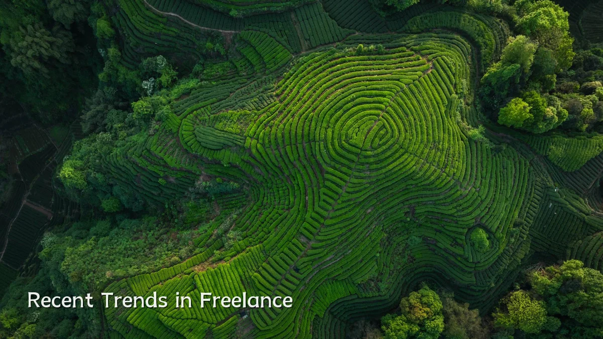 Recent Trends in Freelance