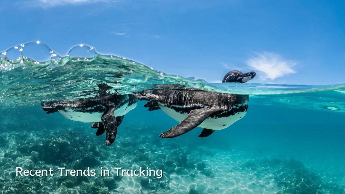 Recent Trends in Tracking