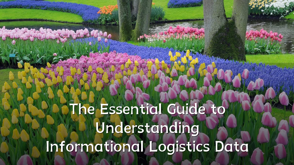 The Essential Guide to Understanding Informational Logistics Data