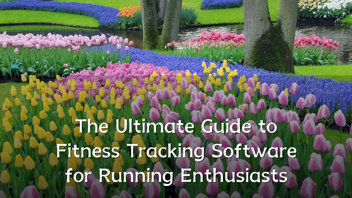 The Ultimate Guide to Fitness Tracking Software for Running Enthusiasts