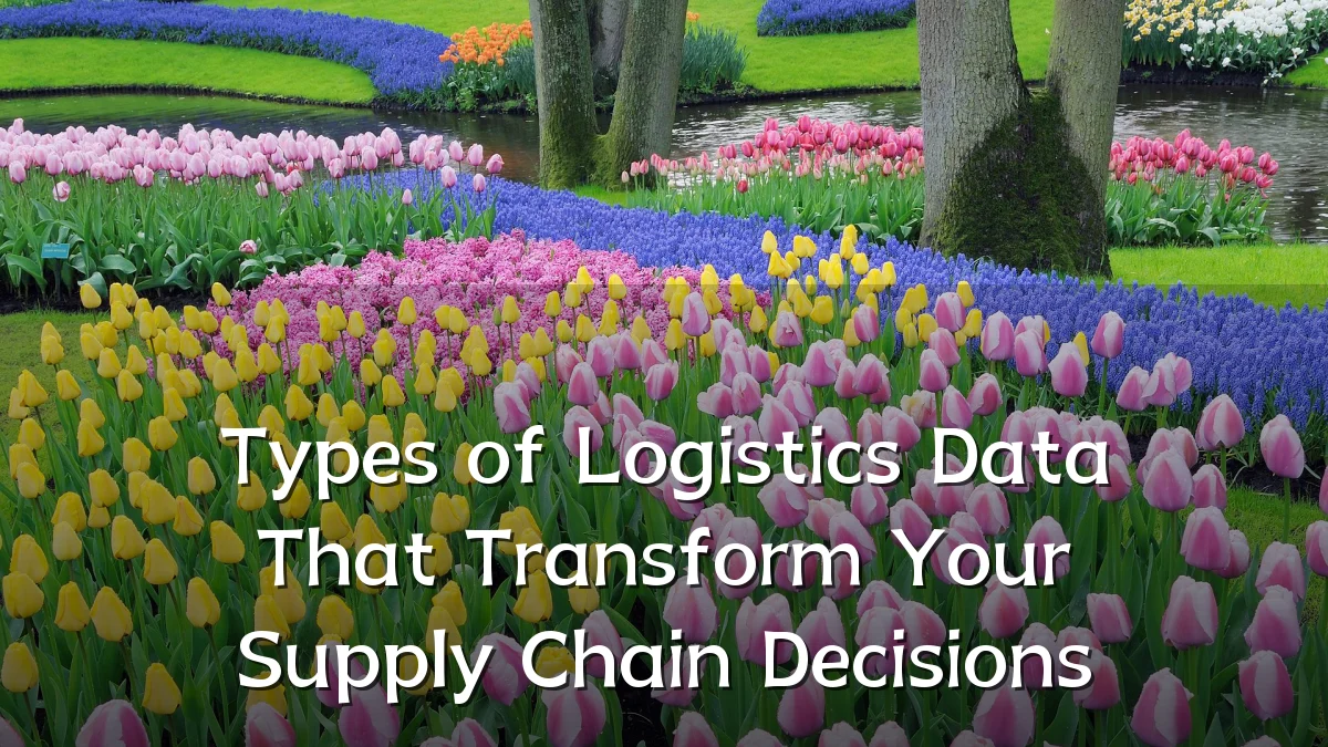 Types of Logistics Data That Transform Your Supply Chain Decisions