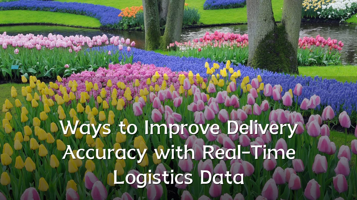 Ways to Improve Delivery Accuracy with Real-Time Logistics Data