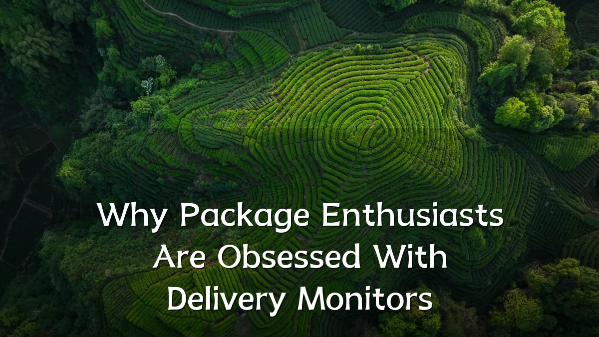 Why Package Enthusiasts Are Obsessed With Delivery Monitors